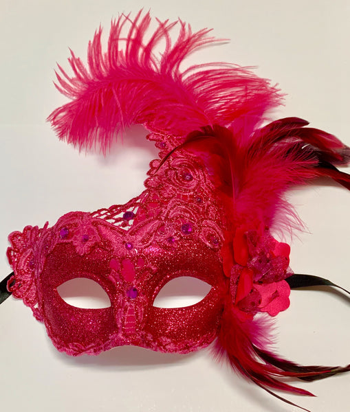 Hot Pink Feathers with Silver Sequins Around The Eyes (Each) – Mardi Gras  Spot